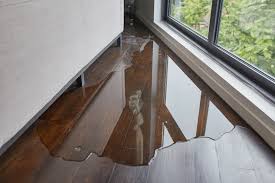 Détection vices cachés immobilier